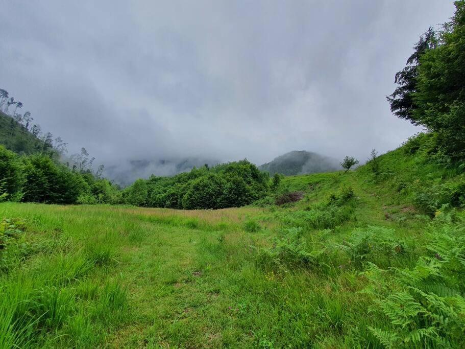 The Green House - Apuseni Mountains Pietroasa  Exterior photo