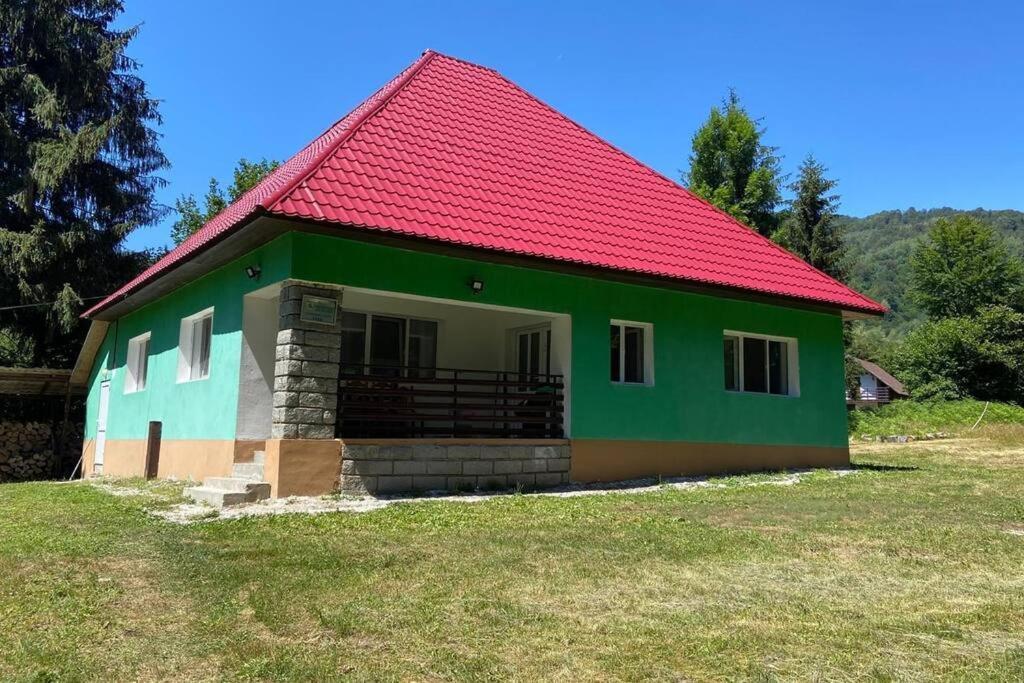 The Green House - Apuseni Mountains Pietroasa  Exterior photo
