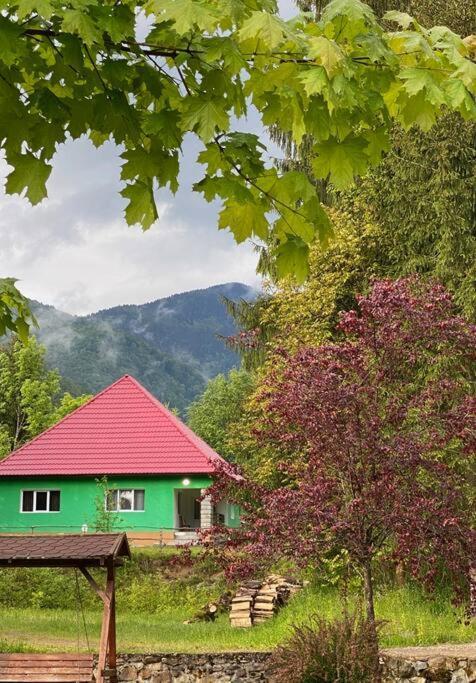 The Green House - Apuseni Mountains Pietroasa  Exterior photo